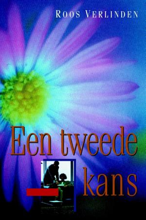 Cover of the book Een tweede kans by Ted van Lieshout