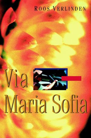Cover of the book Via Maria Sofia by Michiel van Straten