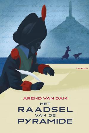 Cover of the book Het raadsel van de Pyramide by Alice Broadway