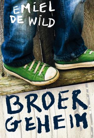 Cover of the book Broergeheim by Brandon Mull, Garth Nix, Sean Williams
