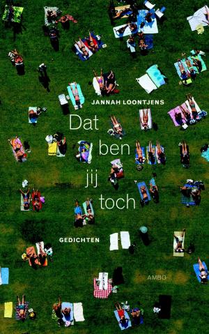 Cover of the book Dat ben jij toch by Liliane Fauriac