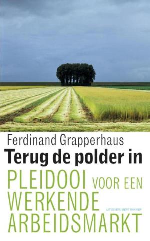 Cover of the book Terug de polder in by Peter Middendorp