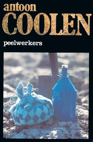 Cover of the book Peelwerkers by Beitske Bouwman