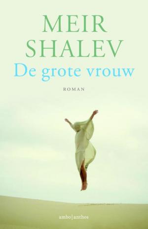 Book cover of De grote vrouw