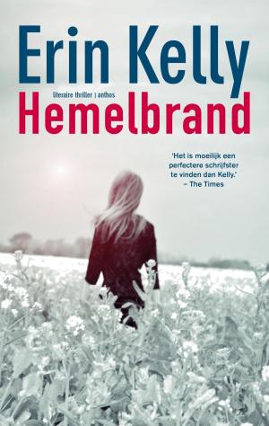 Cover of the book Hemelbrand by Doug Ball