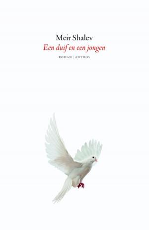 Book cover of Een duif en een jongen