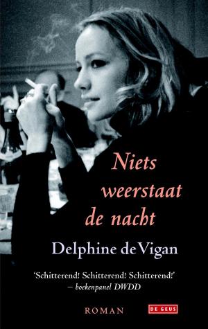 Cover of the book Niets weerstaat de nacht by Marie NDiaye
