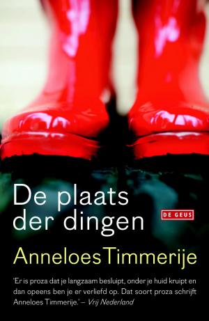 Cover of the book De plaats der dingen by Tim Parks