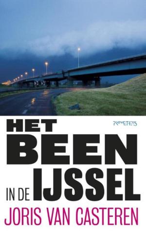 Cover of the book Het been in de IJssel by Sandro Veronesi