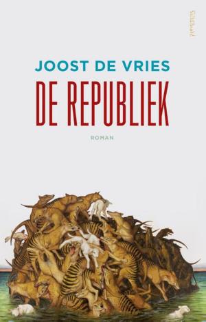 Cover of the book De republiek by Stefan Pop