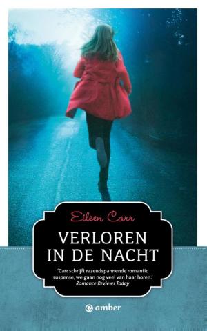 Cover of the book Verloren in de nacht by Elaine Aron