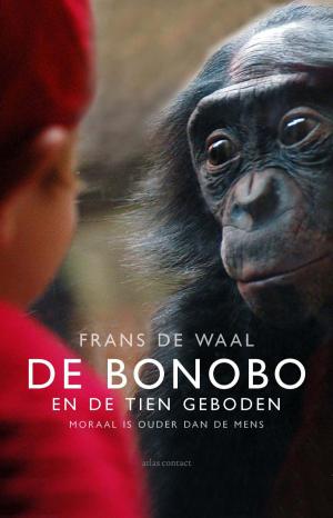 Cover of the book De Bonobo en de tien geboden by Bert Wagendorp