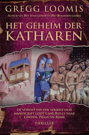 Cover of the book Het geheim der Katharen by David Kirk