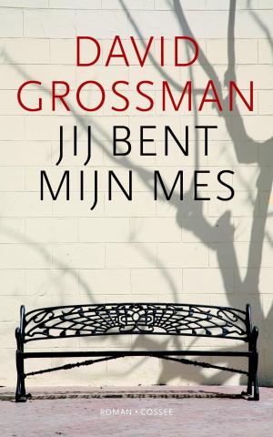 bigCover of the book Jij bent mijn mes by 