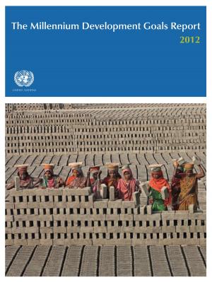 Book cover of The Millennium Development Goals Report 2012