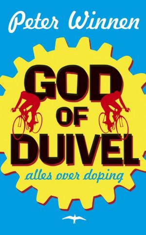 Cover of the book God of duivel by Erwin Mortier