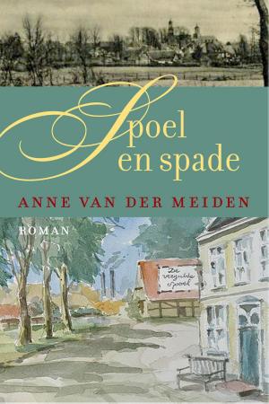 Cover of the book Spoel en spade by Patricia Briggs
