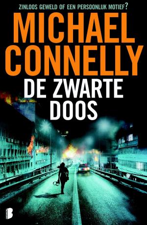 Cover of the book De zwarte doos by Karl May