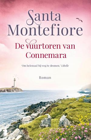 Cover of the book De vuurtoren van Connemara by Jackie van Laren
