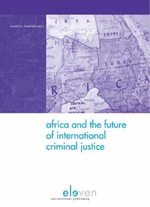 Cover of the book Africa and the future of international criminal justice by 