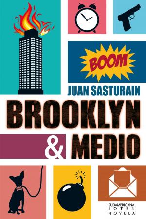 Cover of the book Brooklyn y medio by Raúl Fradkin, Jorge Gelman