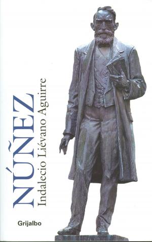 Cover of the book Rafael Núñez by Ezequiel López Peralta