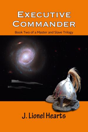 Cover of the book Executive Commander by Jeff Doten