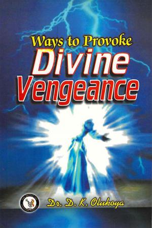 bigCover of the book Ways to Provoke Divine Vengeance by 