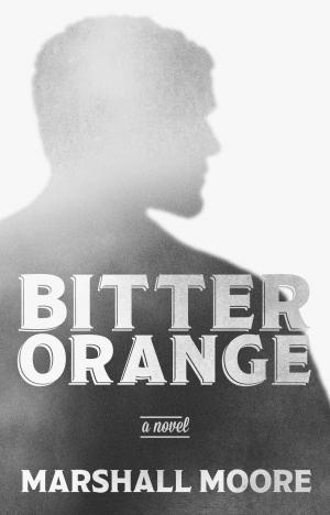 Book cover of Bitter Orange
