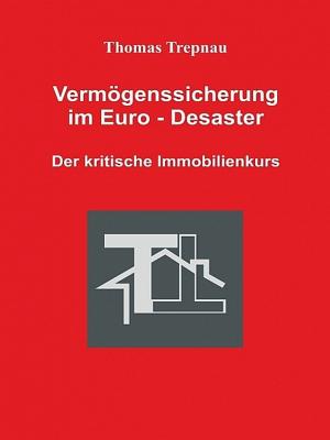 Cover of Vermögenssicherung im Euro-Desaster