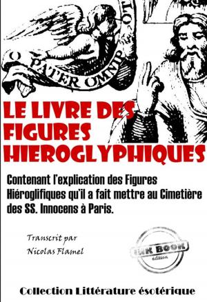 Book cover of Le Livre des figures hiéroglyphiques