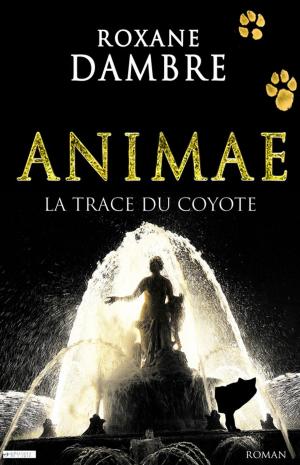 Cover of the book Animae tome 2 by Angélique Barbérat