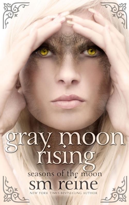 Cover of the book Gray Moon Rising by SM Reine, Red Iris Books