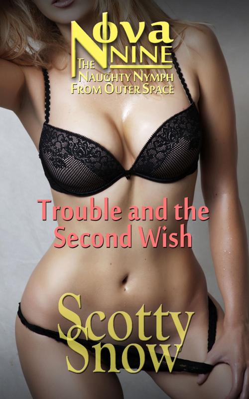 Cover of the book Nova Nine: Trouble and the Second Wish by Scotty Snow, Grey Cat Press
