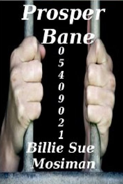 Cover of the book PROSPER BANE by Billie Sue Mosiman, DM Publishing