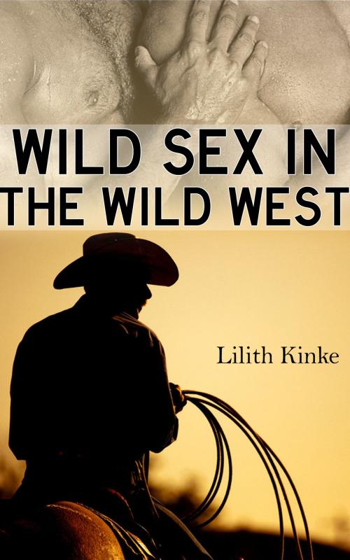 Cover of the book Wild Sex in the Wild West by Lilith Kinke, Lilith Kinke