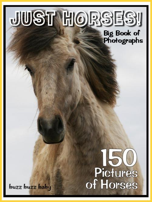 Cover of the book 150 Pictures: Just Horse Photos! Big Book of Horse Photographs, Vol. 1 by Big Book of Photos, Big Book of Photos