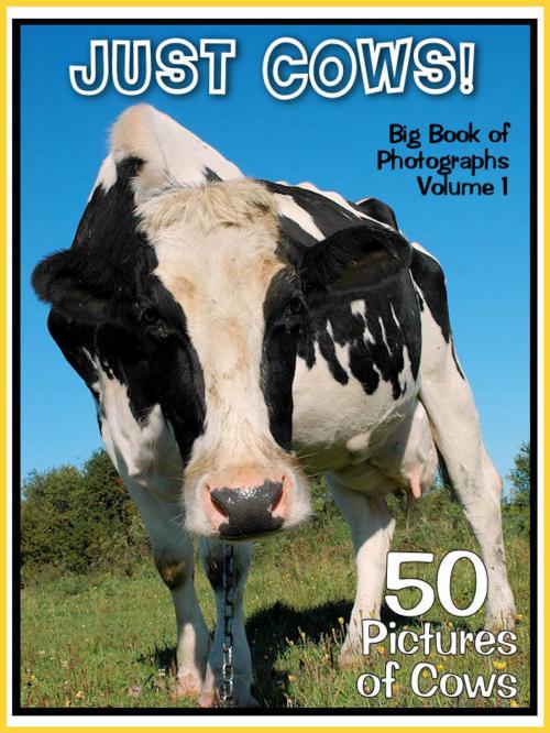 Cover of the book 50 Pictures: Just Cows! Big Book of Bovine Photographs, Vol. 1 by Big Book of Photos, Big Book of Photos