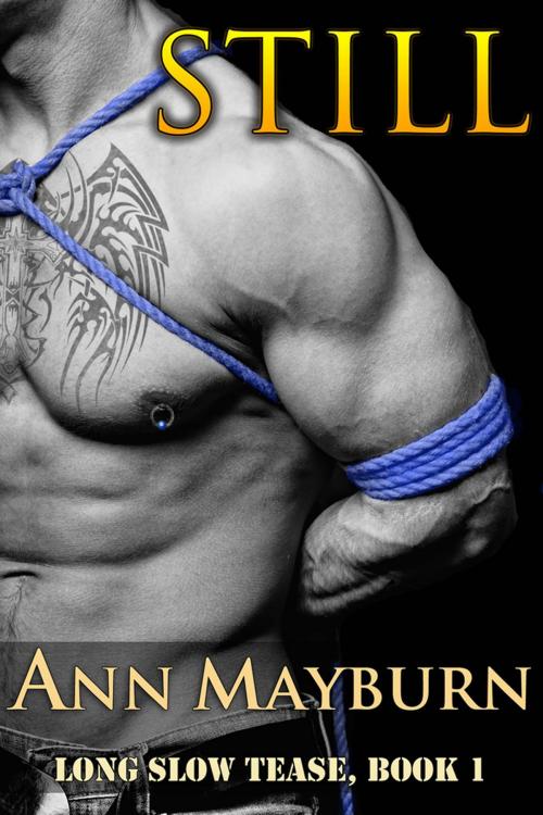 Cover of the book Still (Military Romance) by Ann Mayburn, Honey Mountain Publishing