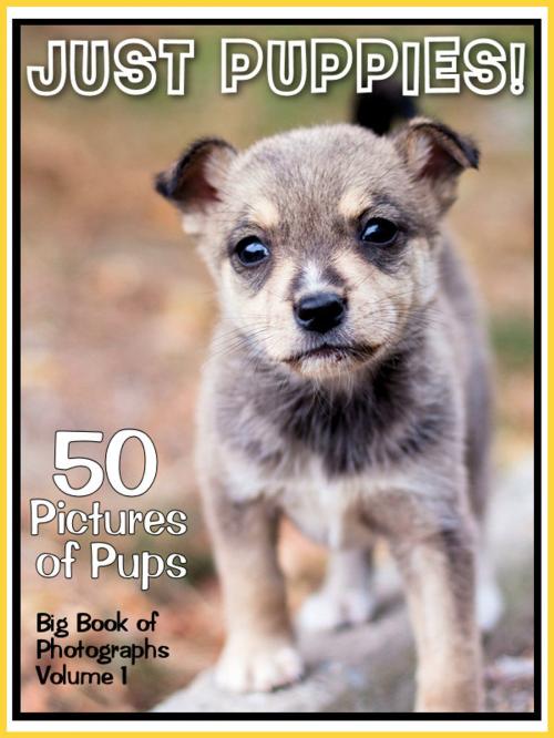 Cover of the book 50 Pictures: Just Puppies! Big Book of Puppy Dog Photographs, Vol. 1 by Big Book of Photos, Big Book of Photos