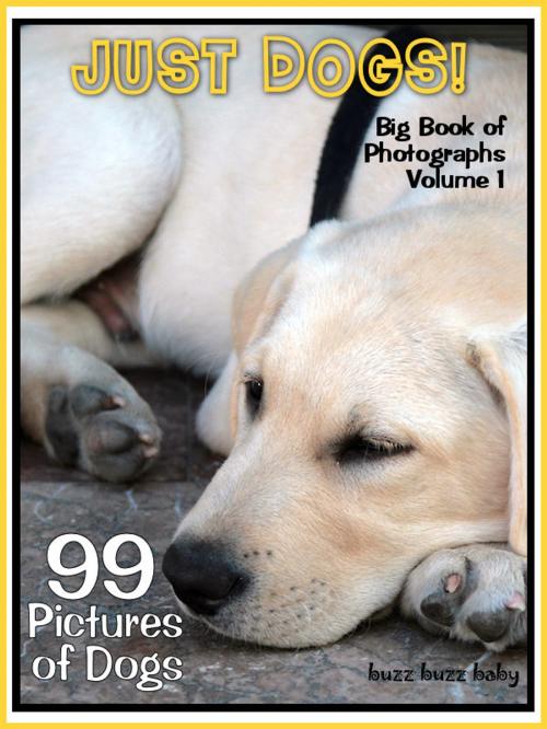 Cover of the book 99 Pictures: Just Dog Photos! Big Book of Canine Photographs, Vol. 1 by Big Book of Photos, Big Book of Photos