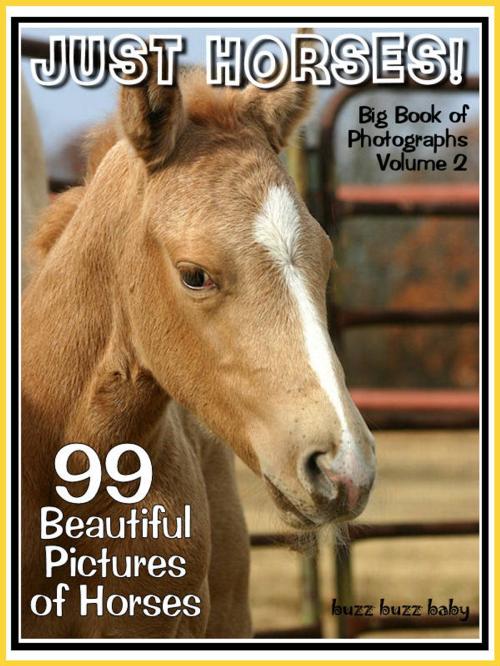 Cover of the book 99 Pictures: Just Horse Photos! Big Book of Photographs Vol. 2b by Big Book of Photos, Big Book of Photos