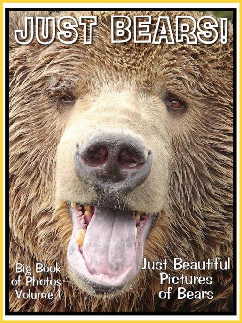 Cover of the book Just Bear Photos! Big Book of Photographs & Pictures of Brown, Grizzly, Polar, and Black Bears, Vol. 1 by Big Book of Photos, Big Book of Photos