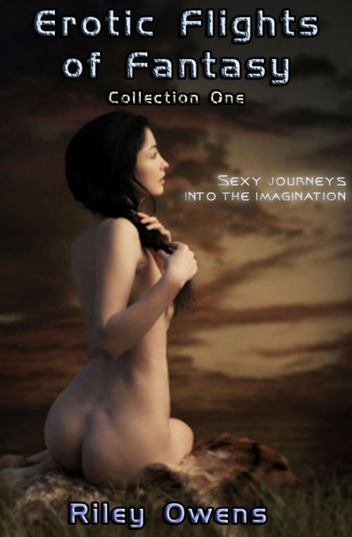 Cover of the book Erotic Flights of Fantasy: Collection One by Riley Owens, Bound 2 Please Press