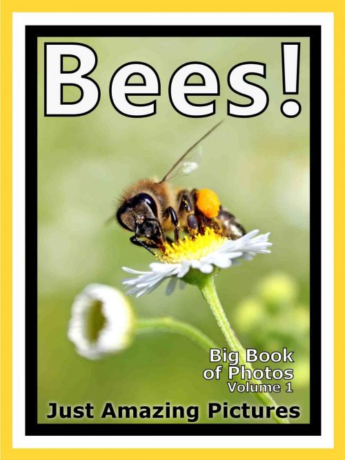 Cover of the book Just Bee Photos! Big Book of Photographs & Pictures of Bees, Vol. 1 by Big Book of Photos, Big Book of Photos