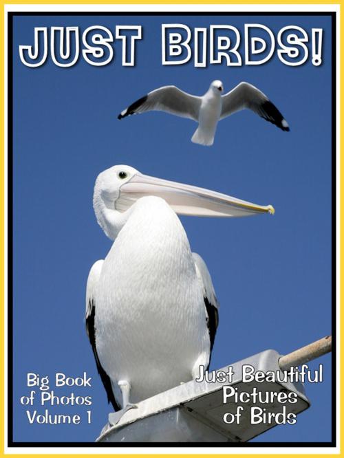 Cover of the book Just Bird Photos! Big Book of Photographs & Pictures of Birds, Vol. 1 by Big Book of Photos, Big Book of Photos