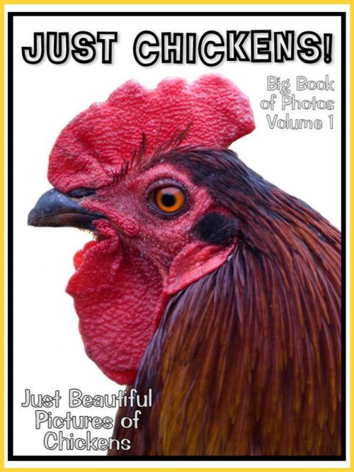 Cover of the book Just Chicken Photos! Big Book of Photographs & Pictures of Chickens, Chicks, Hens, & Roosters, Vol. 1 by Big Book of Photos, Big Book of Photos