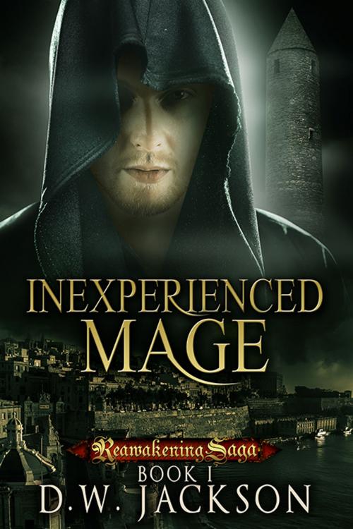 Cover of the book Inexperienced Mage by D.W. Jackson, Jackson Publishing