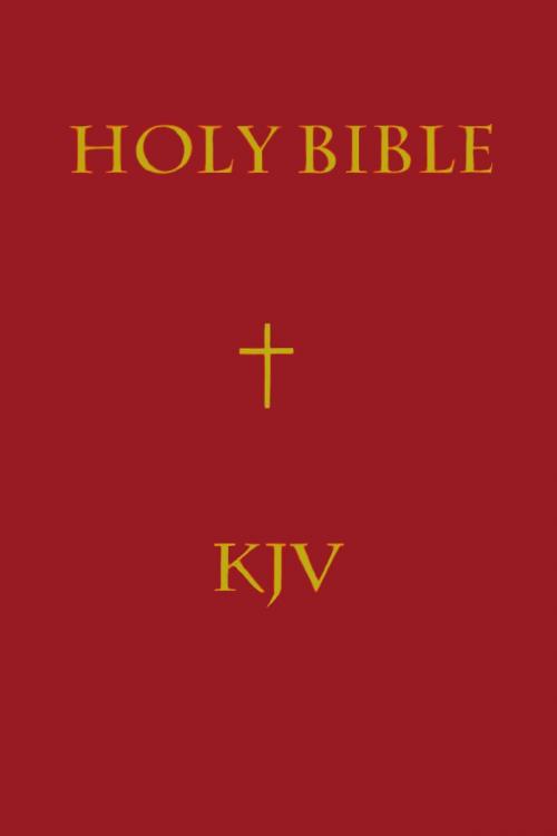 Cover of the book ILLUSTRATED LARGE PRINT BIBLE: THE HOLY BIBLE - KJV Authorized King James Version - Special KOBO Edition - Complete Old Testament & New Testament by GOD, The Holy Bible, The King James Bible, iReign Publishing