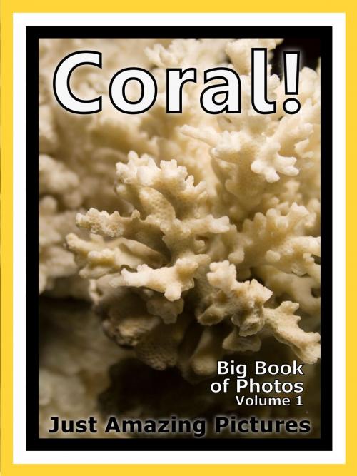 Cover of the book Just Coral Photos! Big Book of Photographs & Pictures of Underwater Sea Coral, Vol. 1 by Big Book of Photos, Big Book of Photos